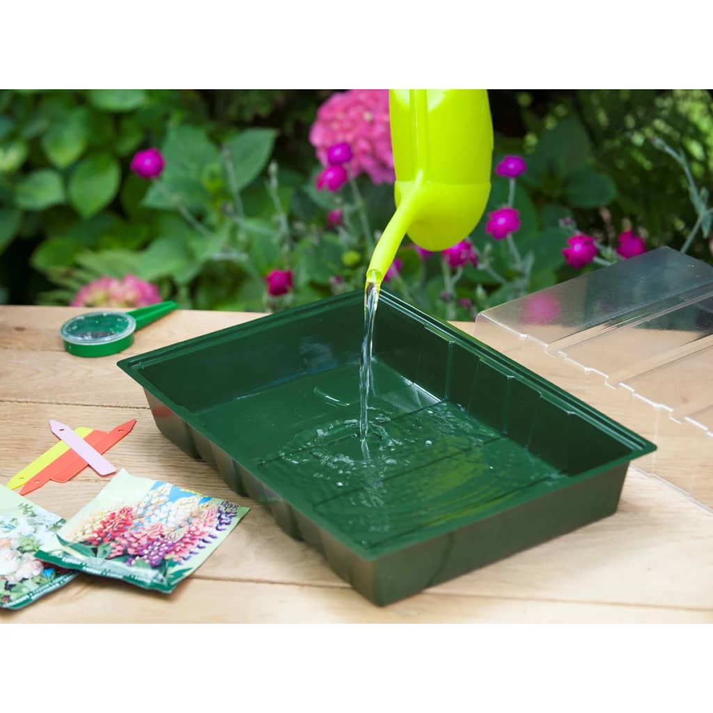 Nature Mini Kit Propagator, 7 X 11 Celule