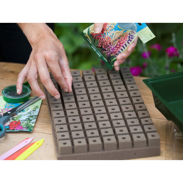 Nature Mini Kit Propagator, 7 X 11 Celule