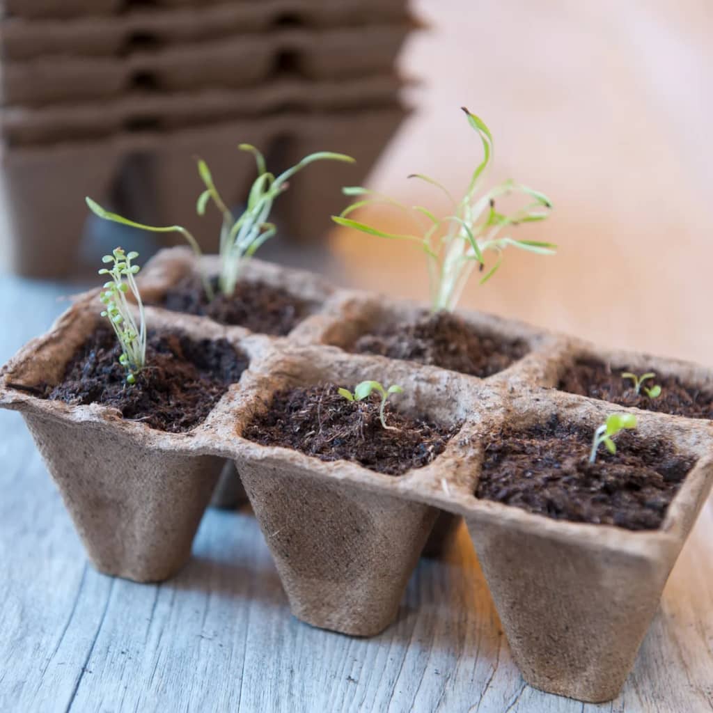 Nature Kit De Start Plantare Cu Propagator, 200 Piese