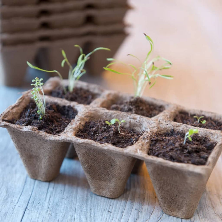 Nature Kit De Start Plantare Cu Propagator, 200 Piese