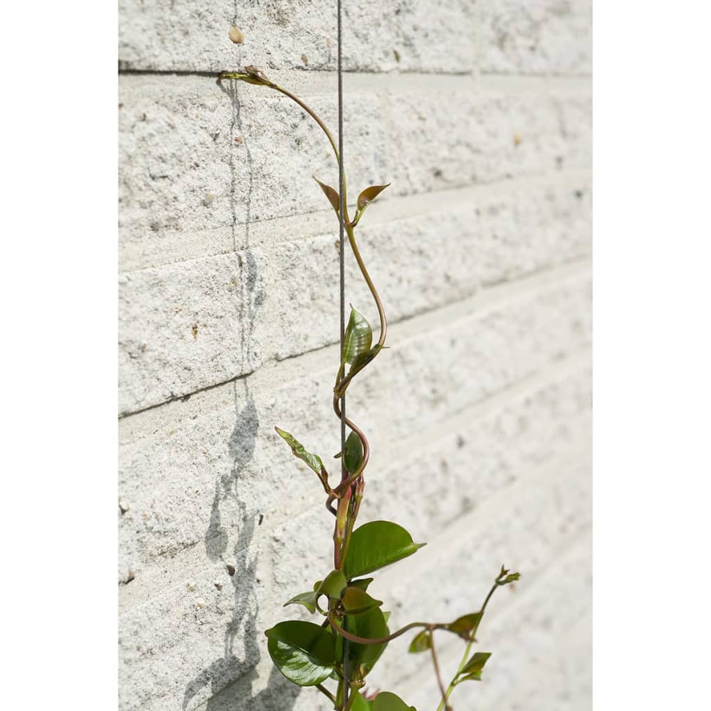 Nature Set Cabluri Spalier Pentru Plante Cățărătoare, 6040760