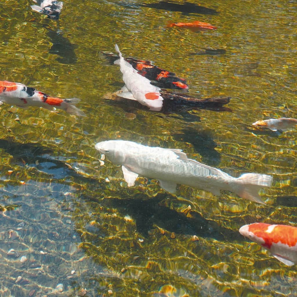 Ubbink Unitate Algclear Uvc 35000,