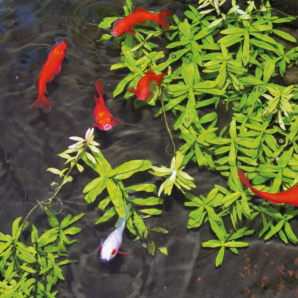 Ubbink Tratament Apă De Iaz "Aqua Clear",