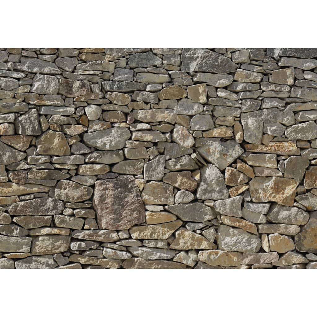 Komar Fototapet Mural Stone Wall, 368 X 254 Cm, 8-727
