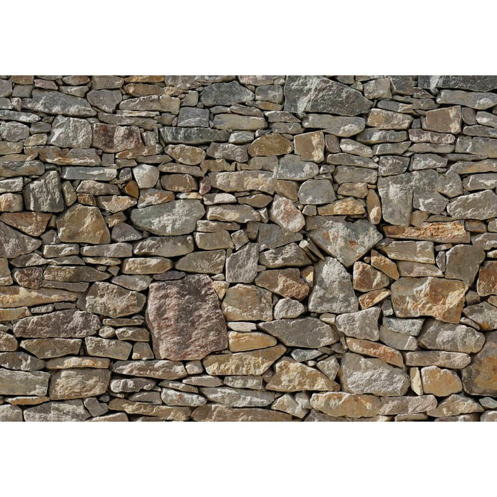 Komar Fototapet Mural Stone Wall, 368 X 254 Cm, 8-727