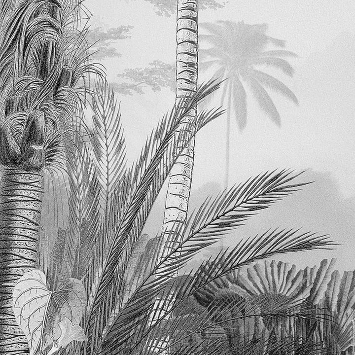 Komar Fototapet Mural Lac Tropical Alb & Negru, 200X270 Cm