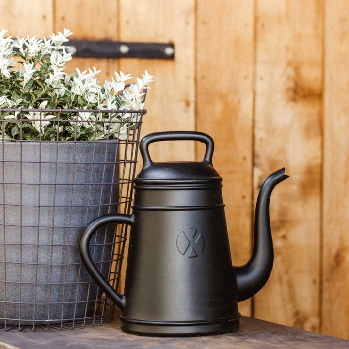 Capi Stropitoare &quot;Xala Lungo&quot;, , 12 L