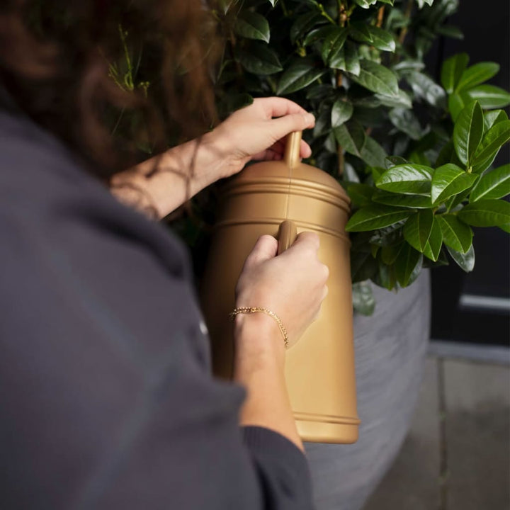 Capi Stropitoare &quot;Xala Lungo&quot;, , 12 L