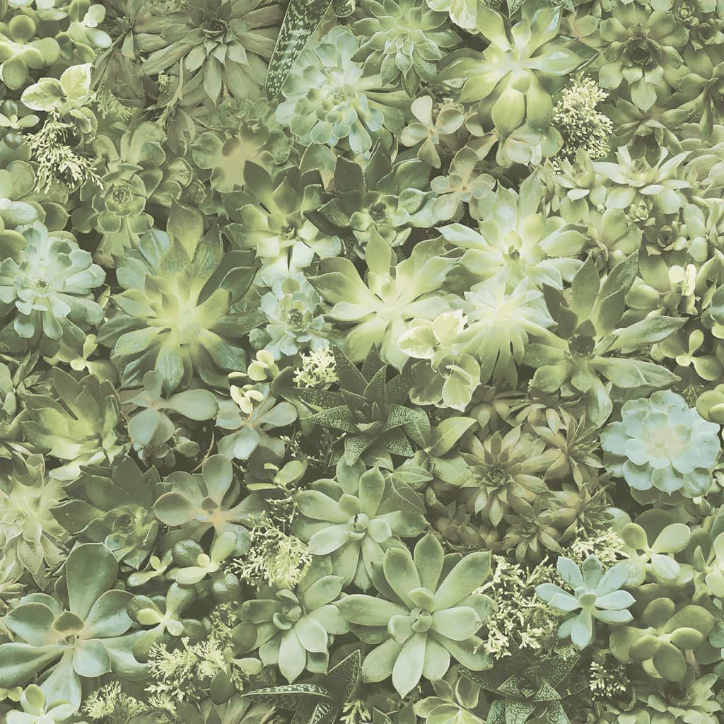Noordwand Tapet „Evergreen Succulent”,