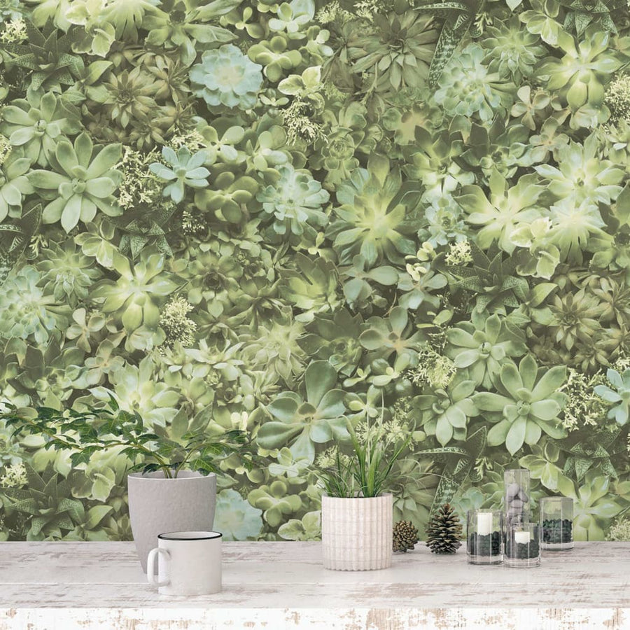Noordwand Tapet „Evergreen Succulent”,