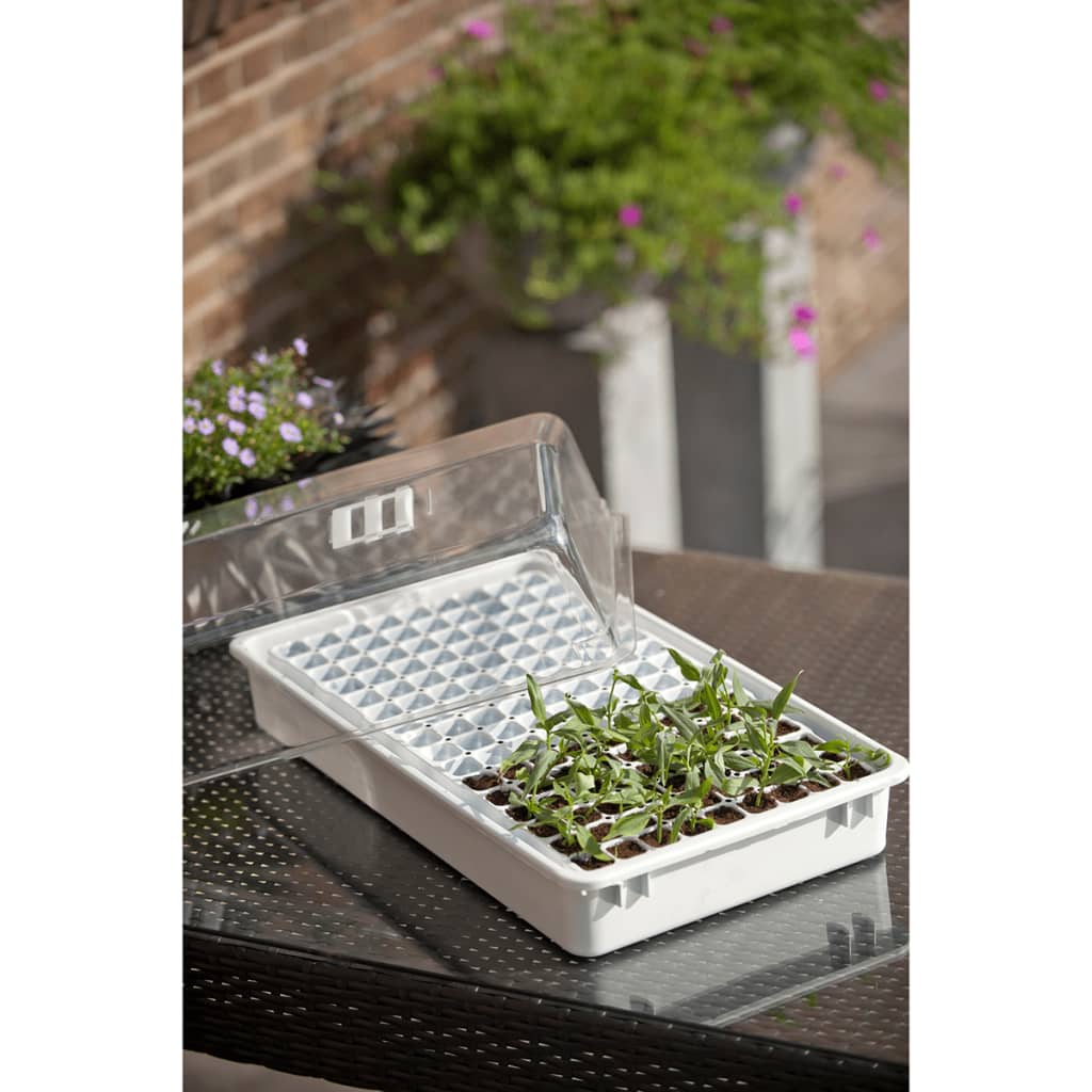 Nature Set Cu Propagator Pentru Plante, , 6020203