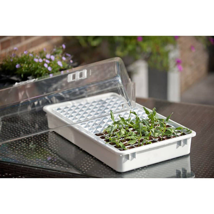 Nature Set Cu Propagator Pentru Plante, , 6020203