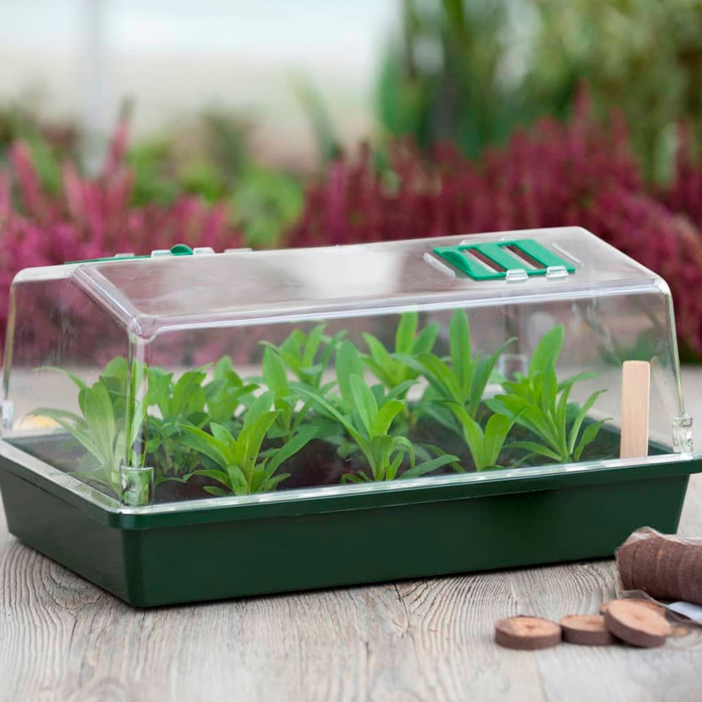 Nature Kit De Start Plantare Cu Propagator, 200 Piese