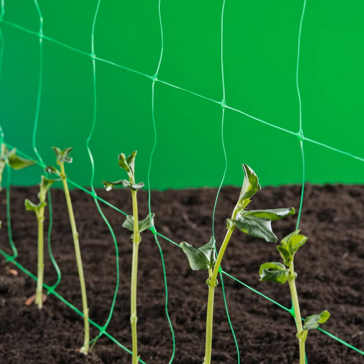 Nature Plasă Pentru Cățărare Plante, Verde, , 6030429