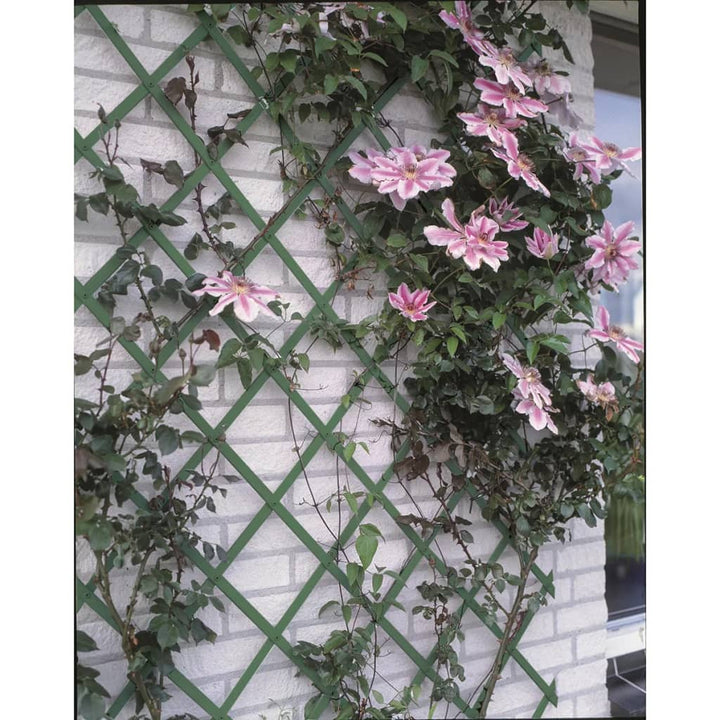 Nature Gard De Grădină Tip Trellis, Pvc, , 6040704