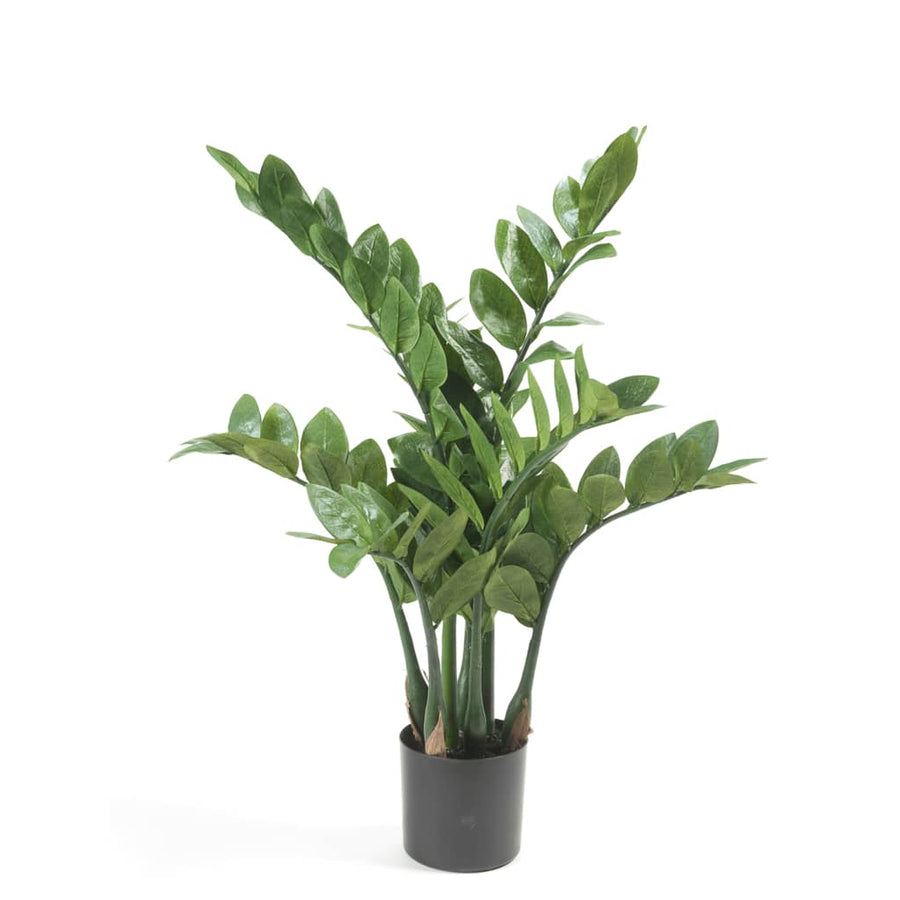 Emerald Plantă Zamioculcas Artificială,