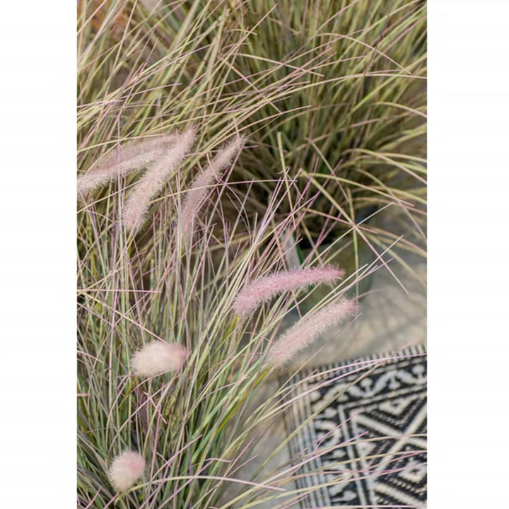 Emerald Iarbă Artificială Pennisetum 58 Cm În Ghiveci De Zinc