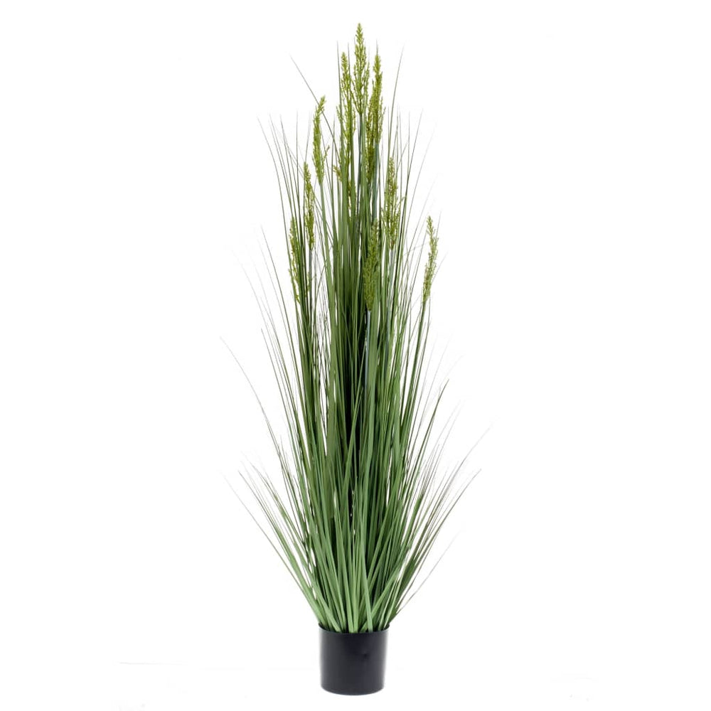 Emerald Iarbă De Cereale Artificială, 150 Cm