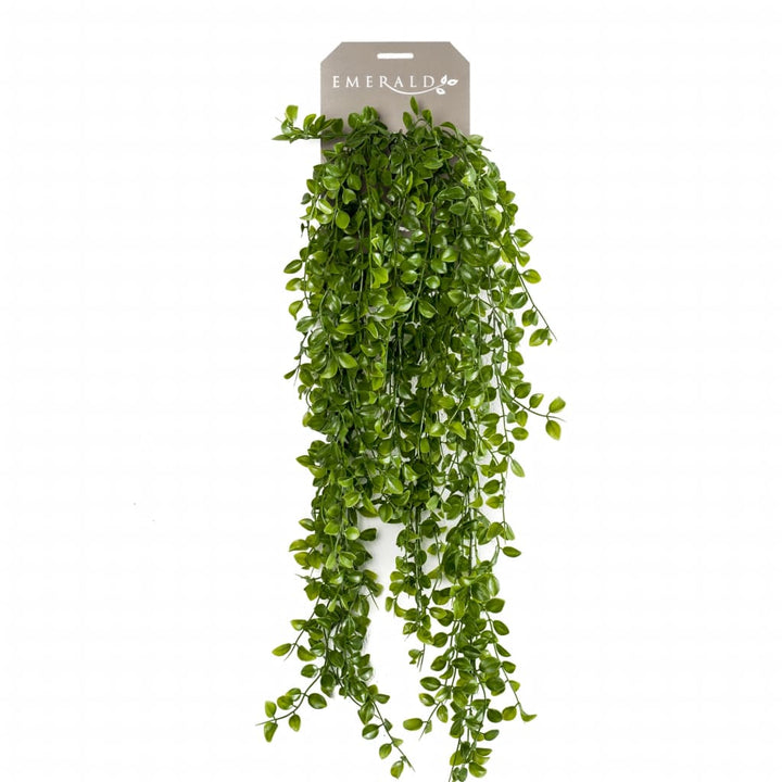 Emerald Asparagus Plumosus Artificial, 80 Cm