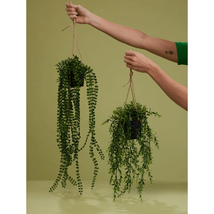 Emerald Ficus Artificial Pumila, Tufă Suspendată În Ghiveci, 60 Cm