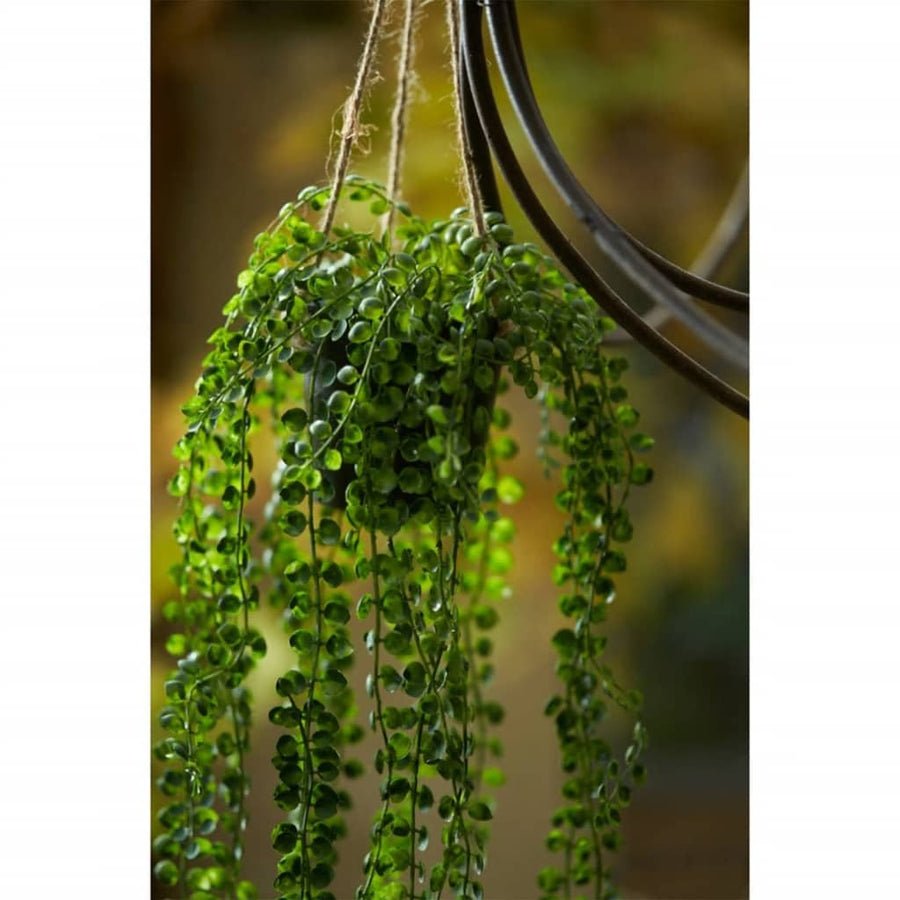 Emerald Ficus Artificial Pumila, Tufă Suspendată În Ghiveci, 60 Cm