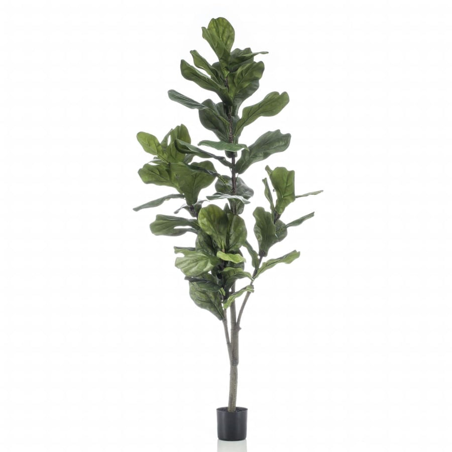 Emerald Ficus Artificial Lyrata 160 Cm