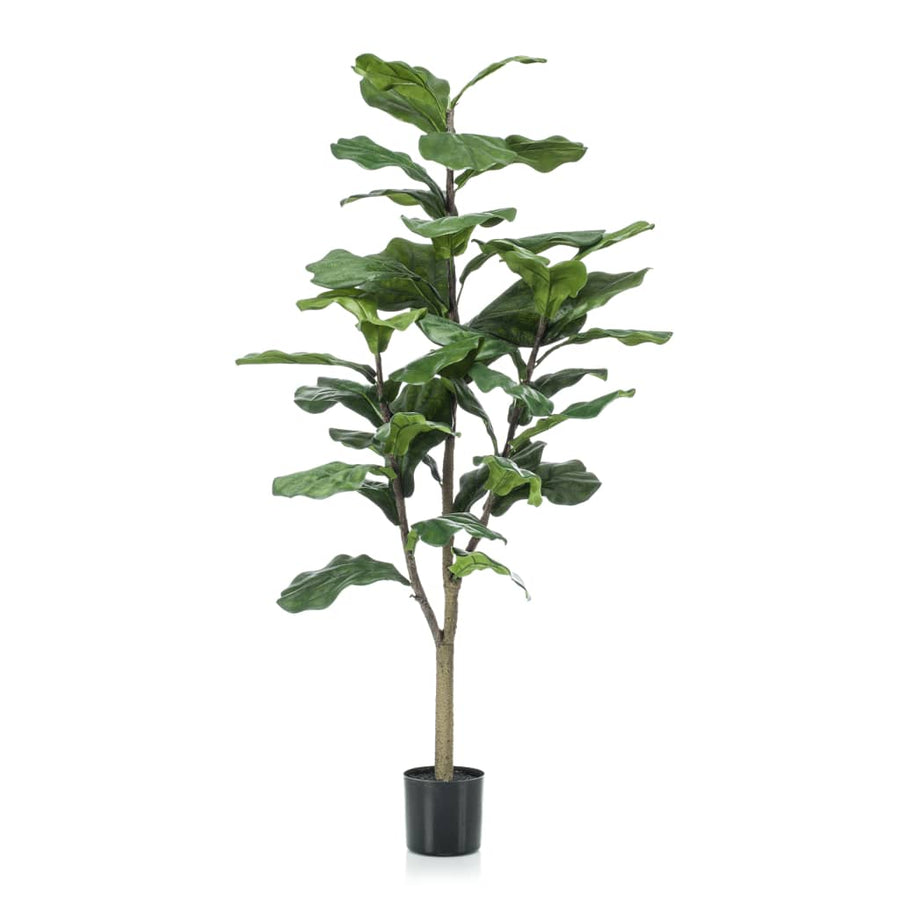 Emerald Ficus Artificial Lyrata 120 Cm