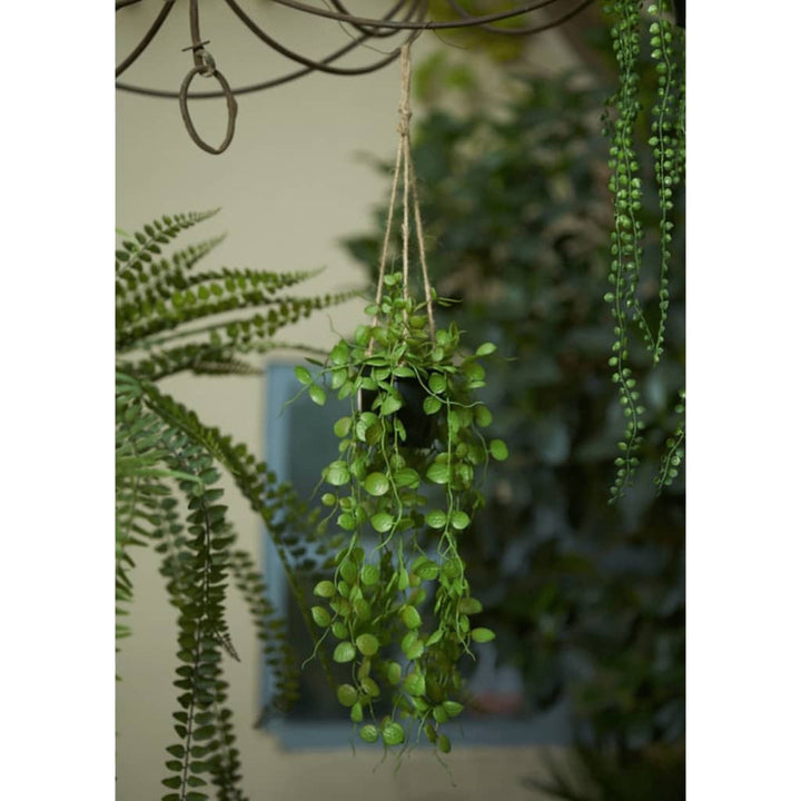 Emerald Tufă Suspendată De Artificial În Ghiveci, 50 Cm