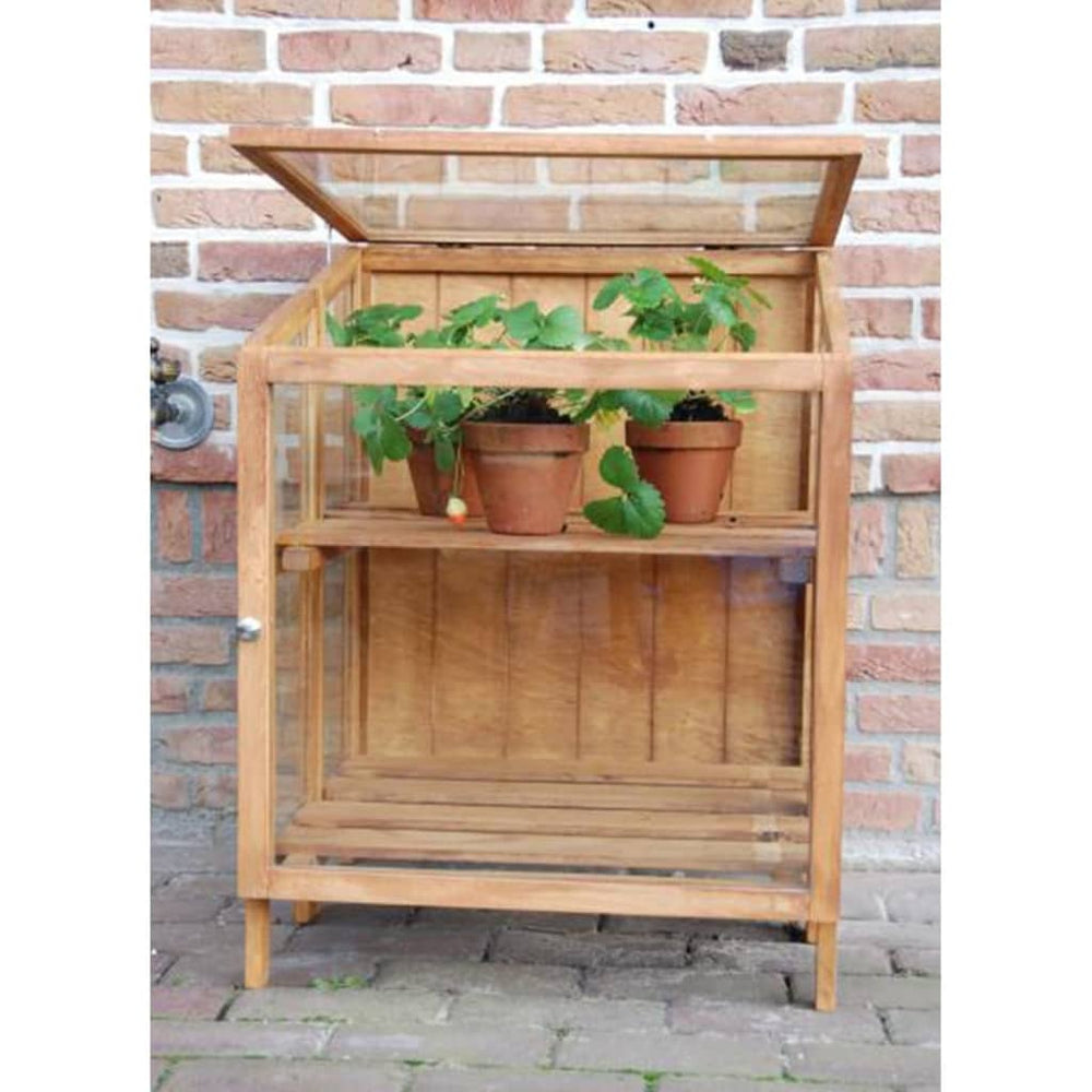 Esschert Design Seră, Lemn De Esență Tare, Mică, Gt32