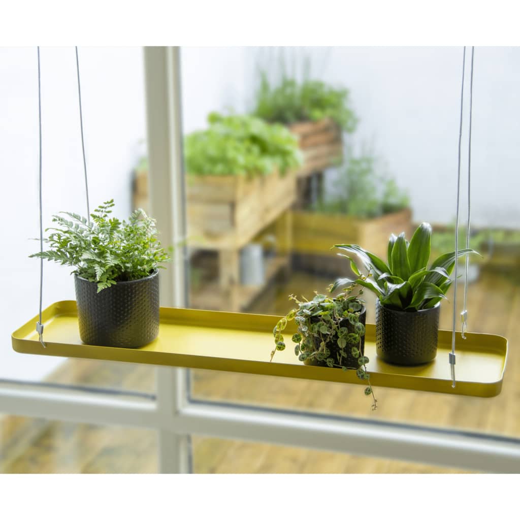 Echert Deign Tavă Pentru Plante Upendată, , ,