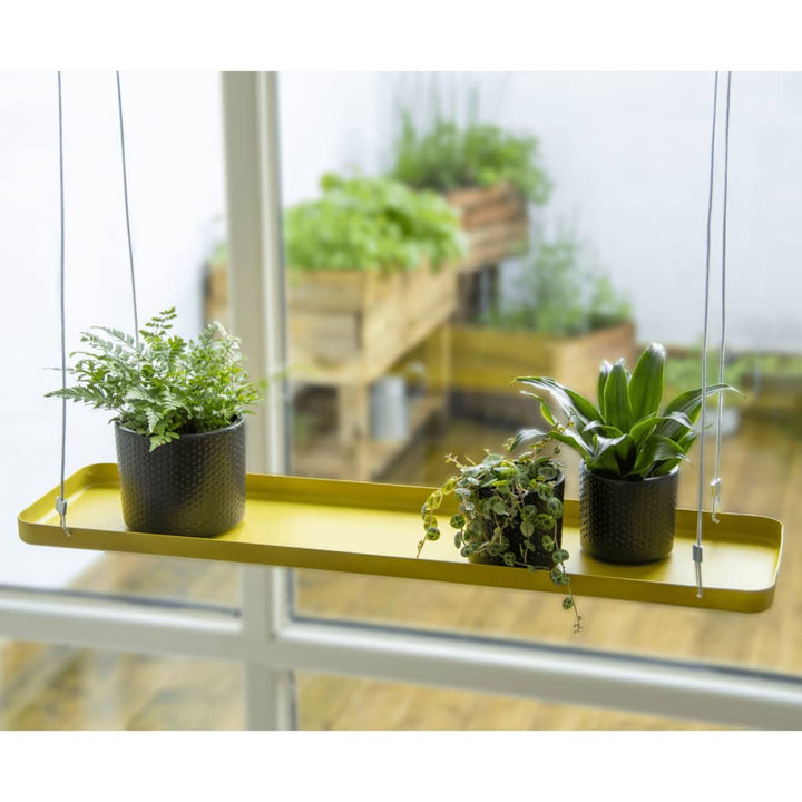 Echert Deign Tavă Pentru Plante Upendată, , ,