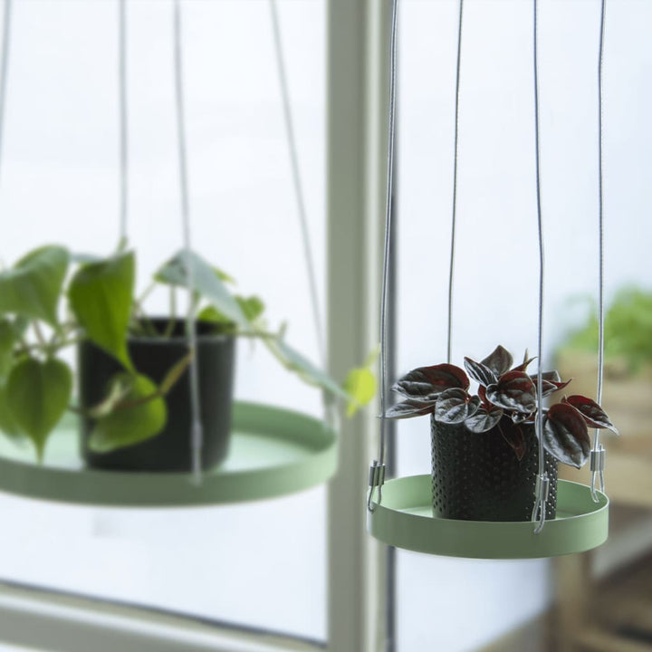 Echert Deign Tavă Pentru Plante Upendată, , ,