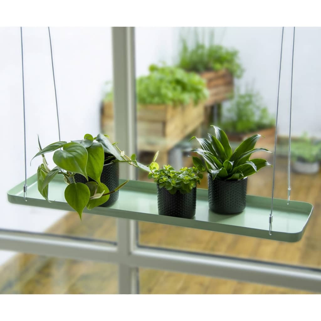 Echert Deign Tavă Pentru Plante Upendată, , ,