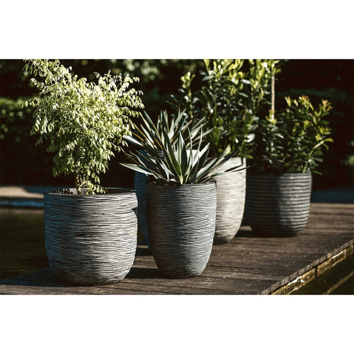 Capi Vas De Plante Nature Rib, , , Adânc, Kofz783