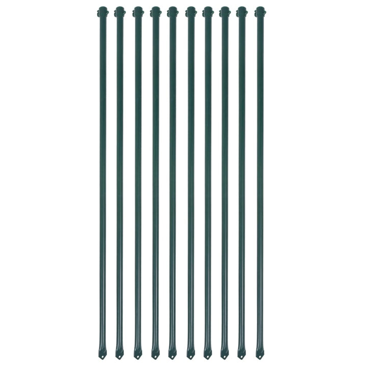 Țăruși Grădină, 10 Buc, 1,5 M, Metal, Verde