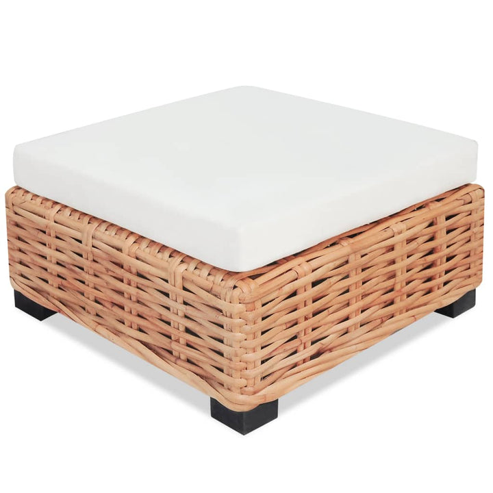 Set Canapea, 18 Piese, Ratan Natural