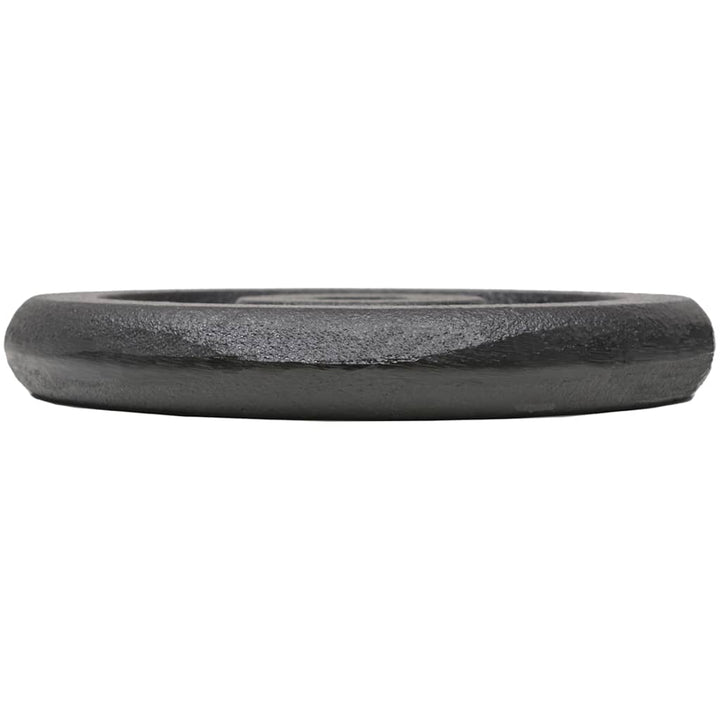 Plăci De Greutate, 4 Buc., 2X10 Kg+2X5 Kg, Fontă