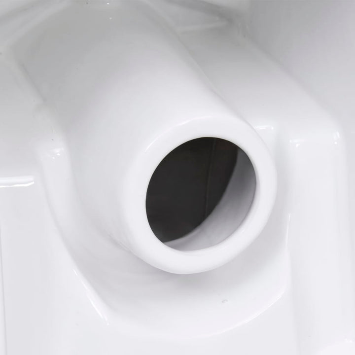 Toaletă, , Ceramică, Flux De Apă În Spate
