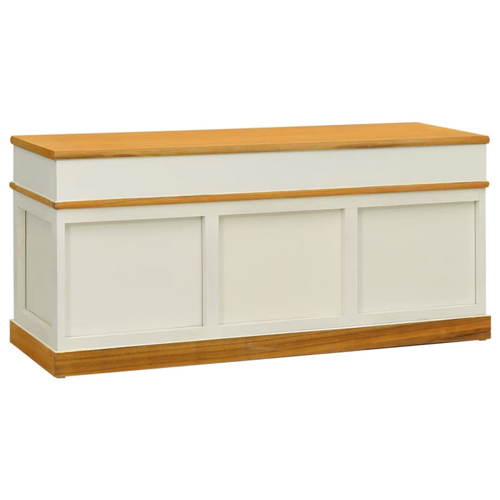Bancă De Depozitare Dulap Pantofi Banchetă De Intrare