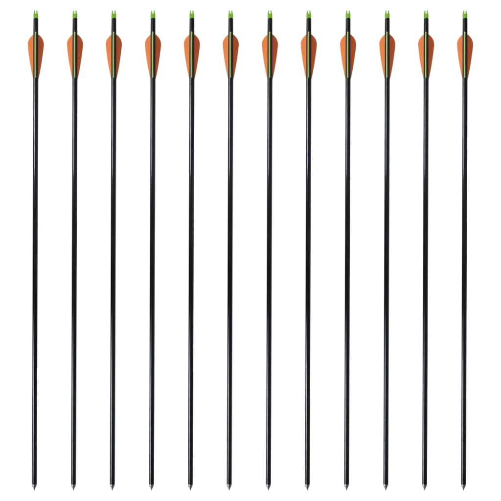 Săgeți Pentru Arc Compus 30&quot; 0,8 Cm Din Fibră De Sticlă, 12 Buc