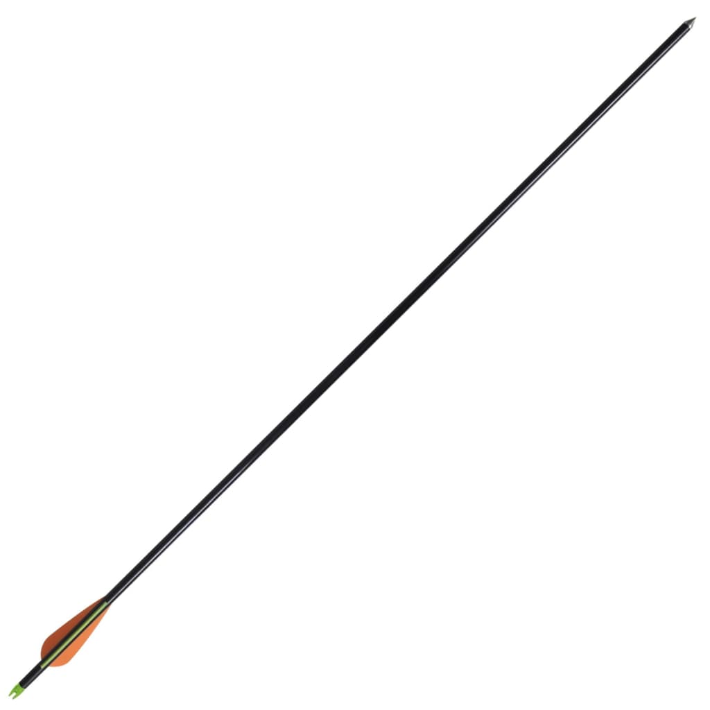 Săgeți Pentru Arc Compus 30&quot; 0,8 Cm Din Fibră De Sticlă, 12 Buc