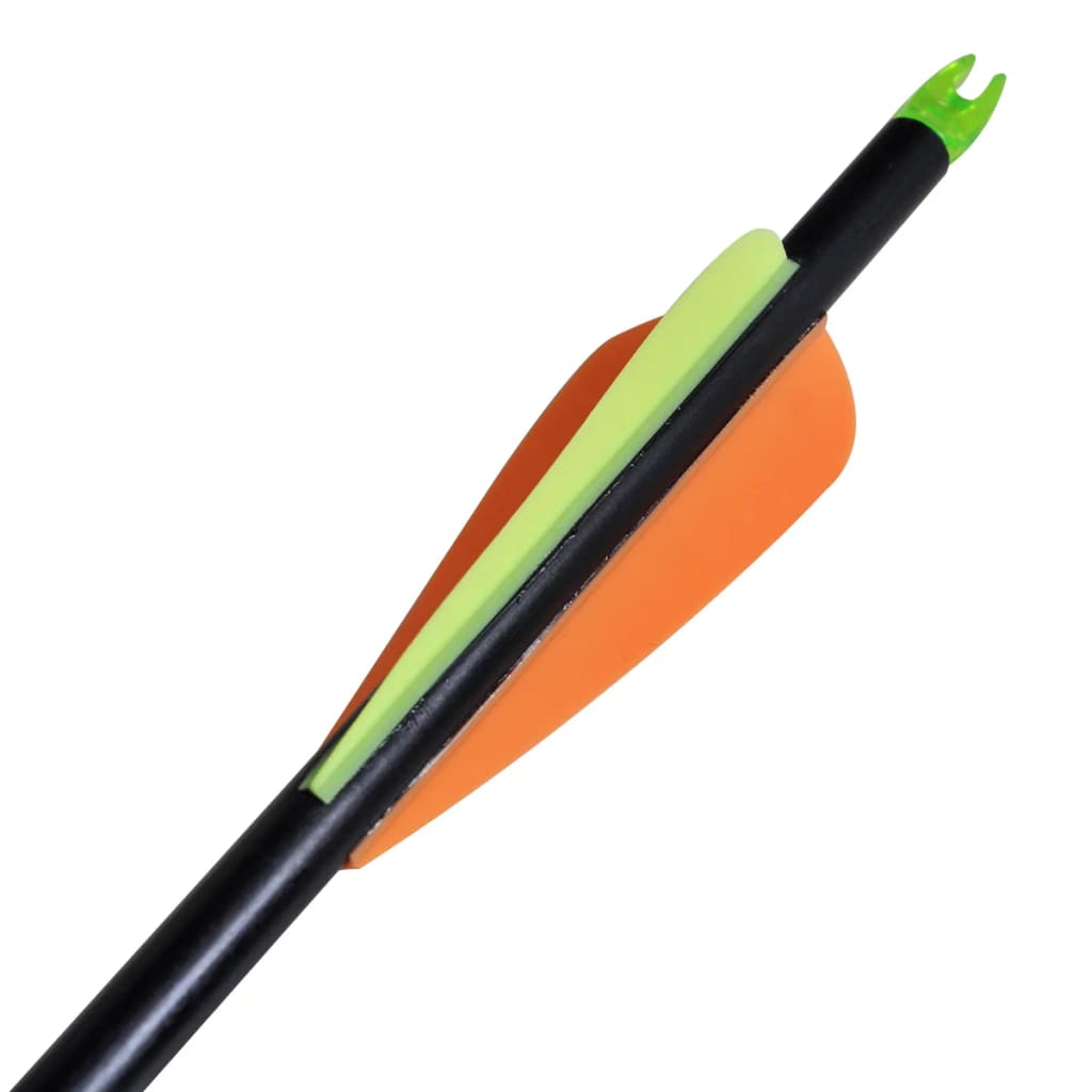 Săgeți Pentru Arc Compus 30&quot; 0,8 Cm Din Fibră De Sticlă, 12 Buc
