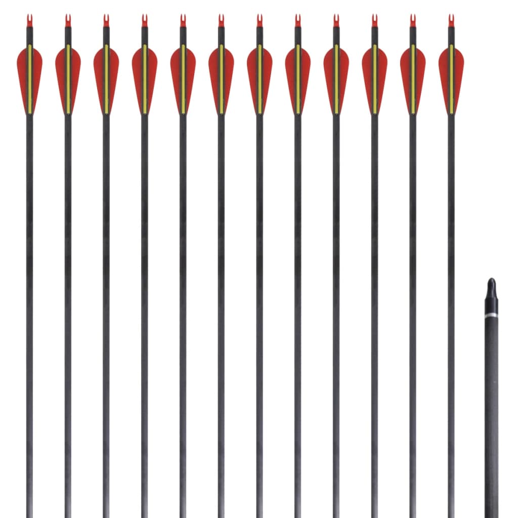 Săgeți Standard Arc Recurv 30&quot; 0,76 Cm Carbon 12 Buc.