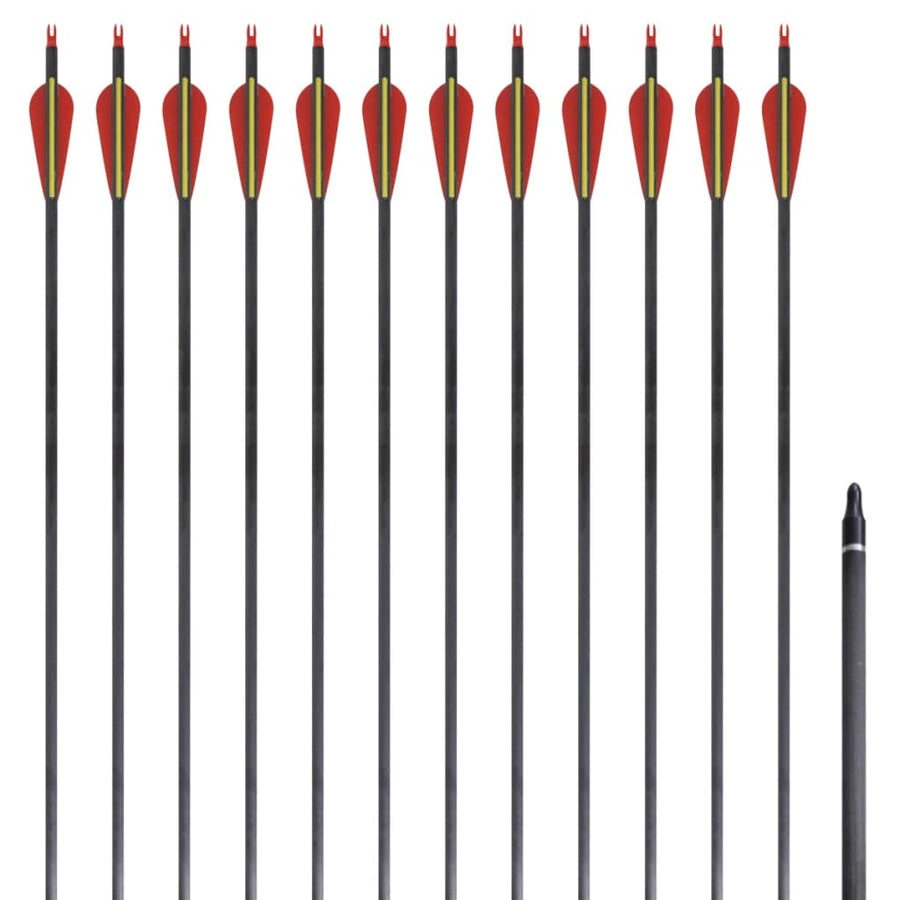 Săgeți Standard Arc Recurv 30&quot; 0,76 Cm Carbon 12 Buc.