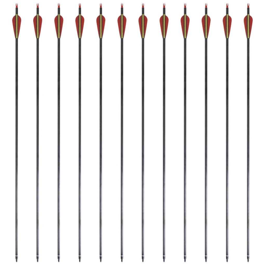 Săgeți Standard Arc Recurv 30&quot; 0,76 Cm Carbon 12 Buc.