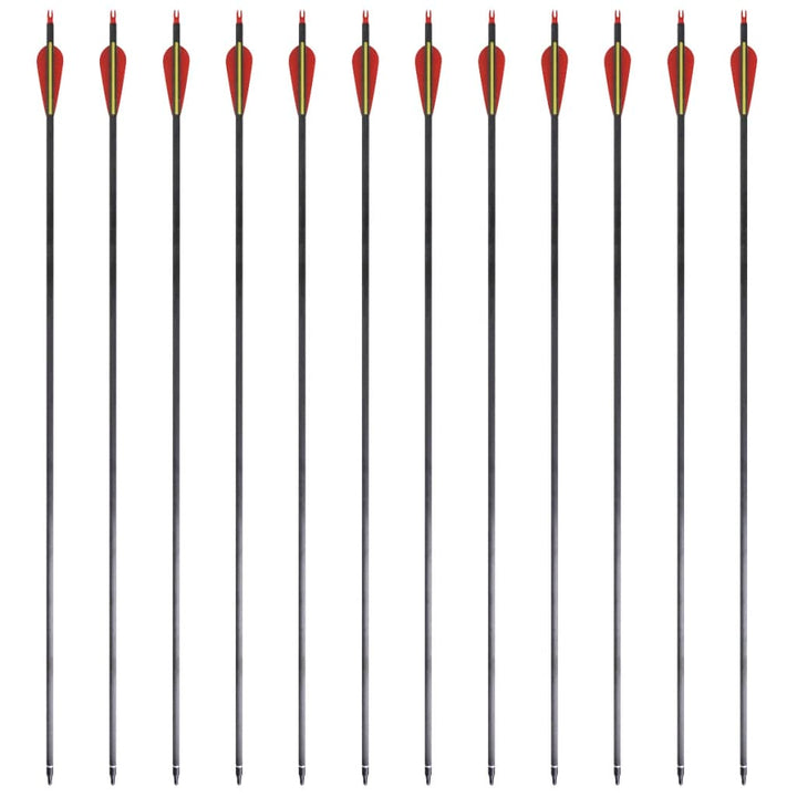 Săgeți Standard Arc Recurv 30&quot; 0,76 Cm Carbon 12 Buc.