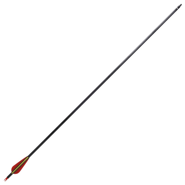Săgeți Standard Arc Recurv 30&quot; 0,76 Cm Carbon 12 Buc.