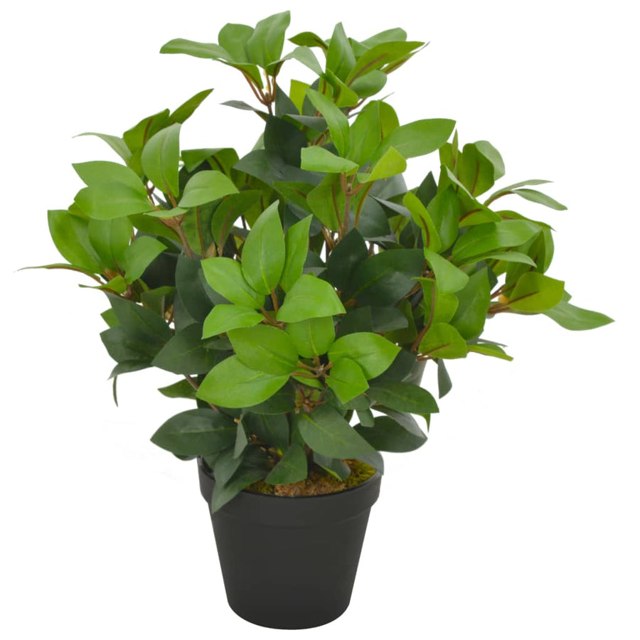 Plantă Artificială Dafin Cu Ghiveci, Verde,