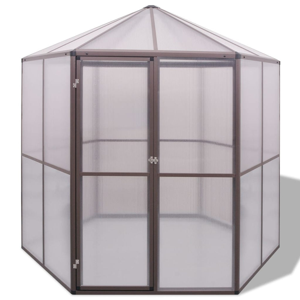 Seră, 240X211X232 Cm, Aluminiu