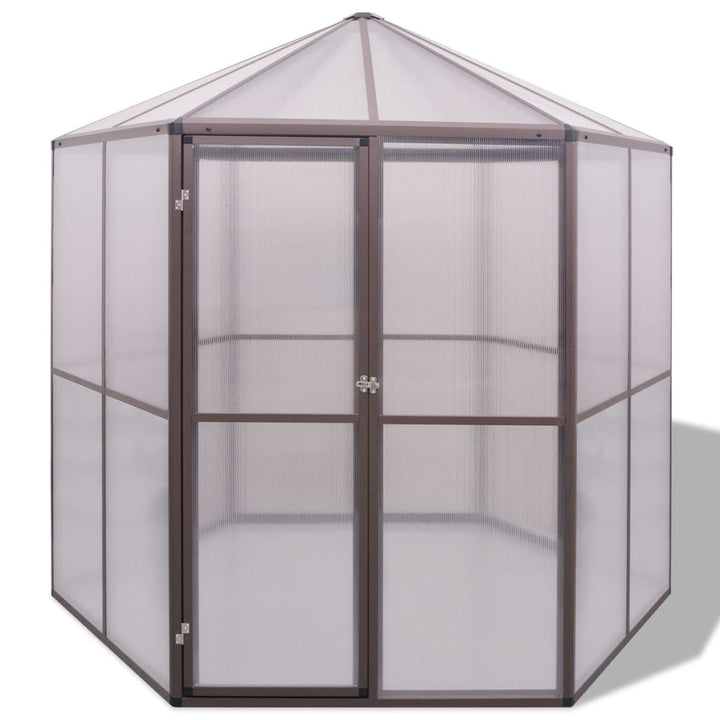 Seră, 240X211X232 Cm, Aluminiu